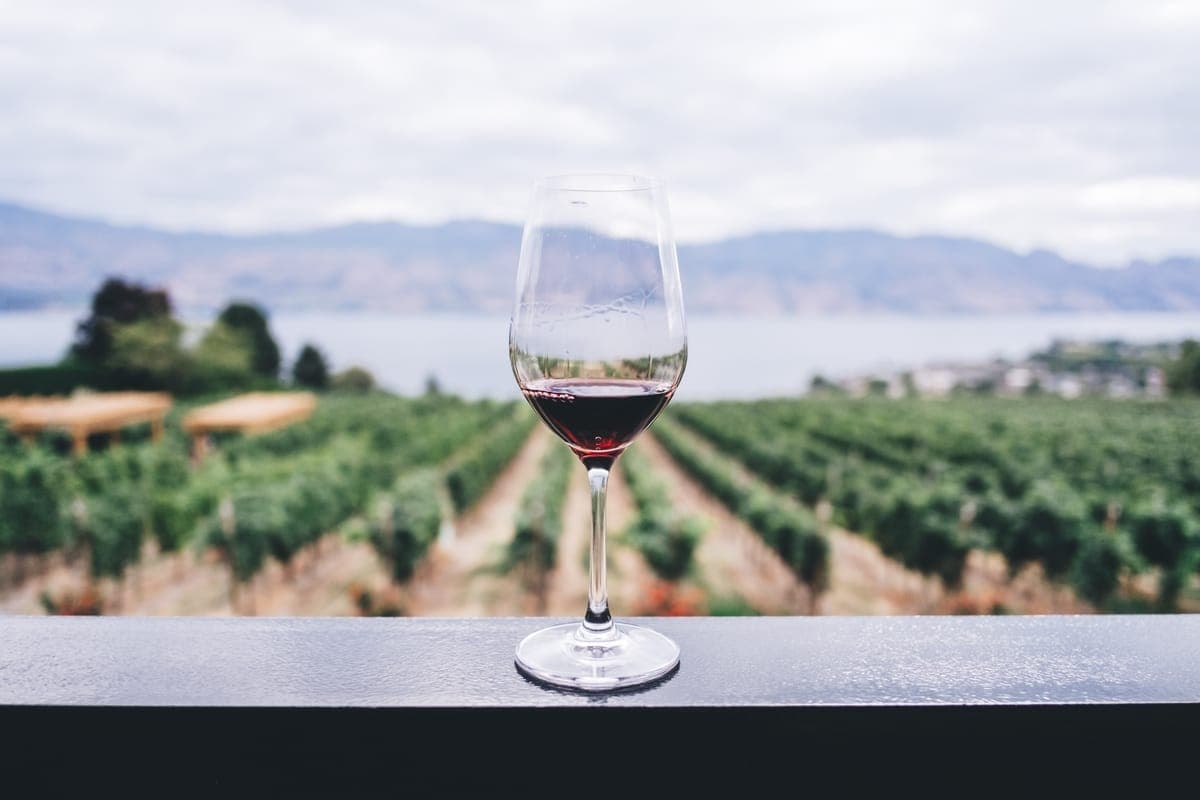 glass of wine